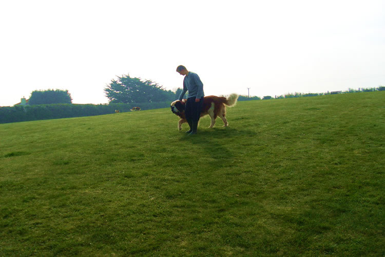 Valentines kennels  Weymouth