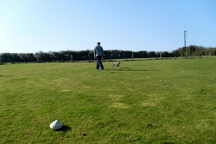 Valentines kennels  Weymouth